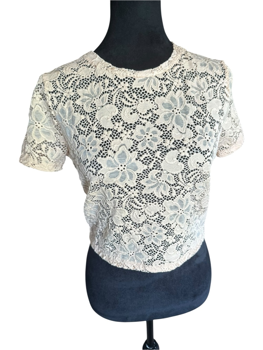 Zara Sheer Lace Crop Top in Peach-Cream, S